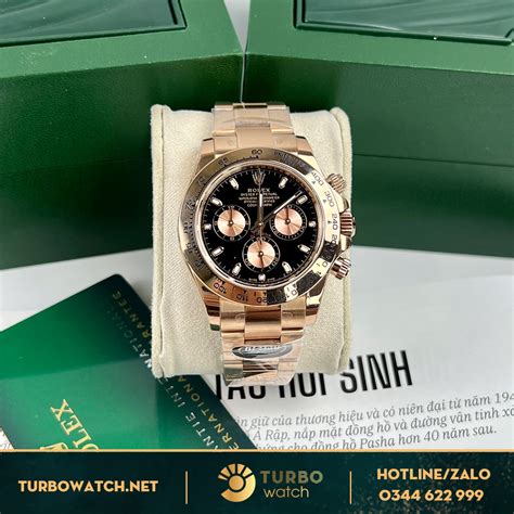 dong rolex everose